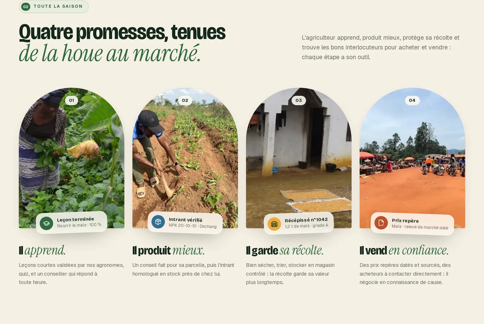 Quatre promesses, de la houe au marché